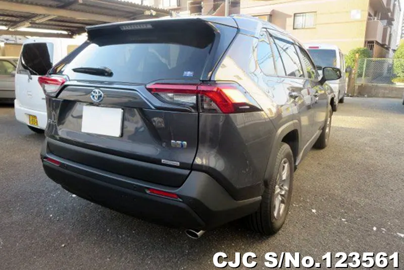 2024 Toyota / Rav4 Stock No. 123561