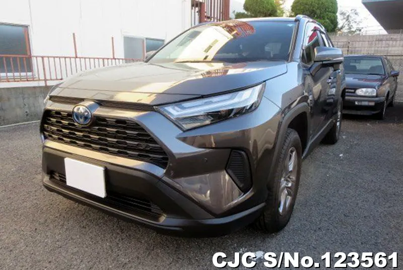 2024 Toyota / Rav4 Stock No. 123561