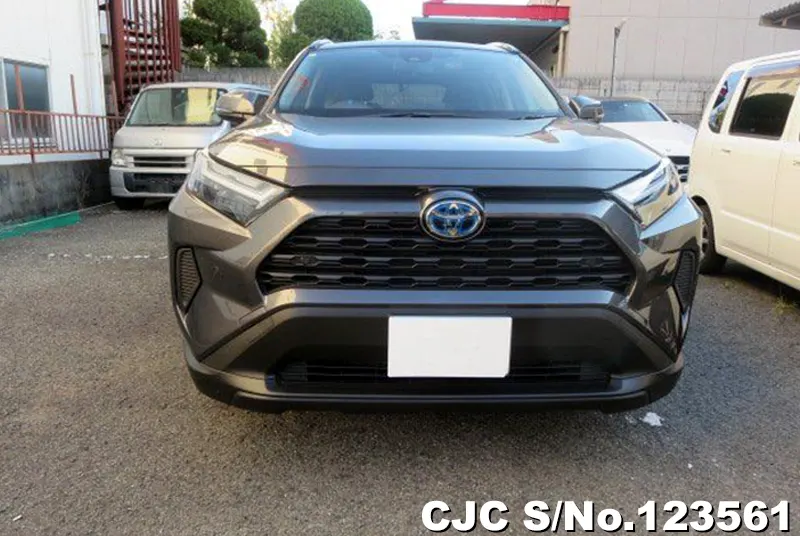 2024 Toyota / Rav4 Stock No. 123561