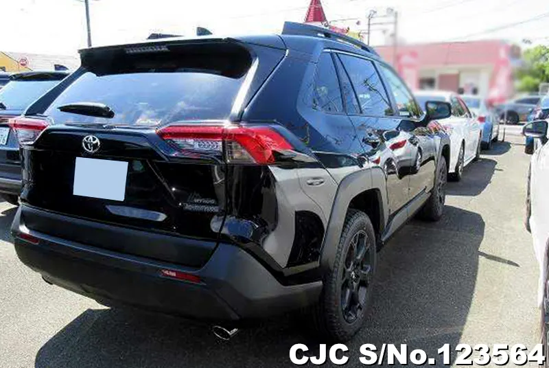 2024 Toyota / Rav4 Stock No. 123564