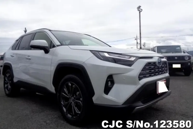 2024 Toyota / Rav4 Stock No. 123580