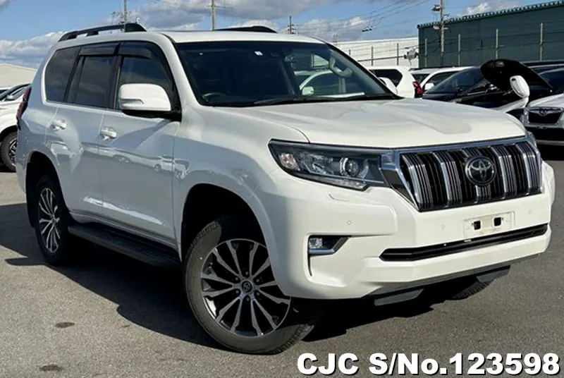 2020 Toyota / Land Cruiser Prado Stock No. 123598