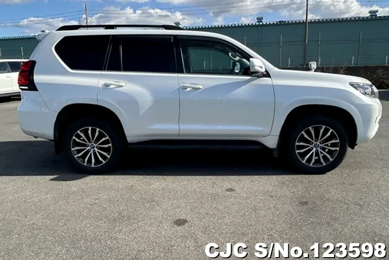 2020 Toyota / Land Cruiser Prado Stock No. 123598