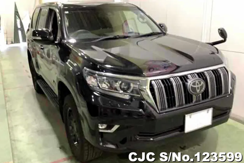 2019 Toyota / Land Cruiser Prado Stock No. 123599