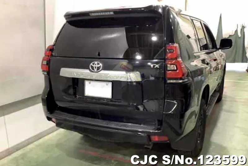 2019 Toyota / Land Cruiser Prado Stock No. 123599