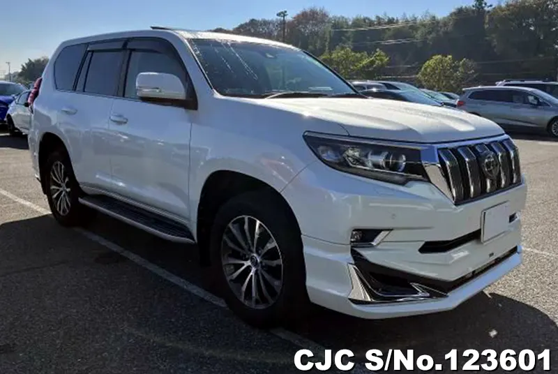 2019 Toyota / Land Cruiser Prado Stock No. 123601