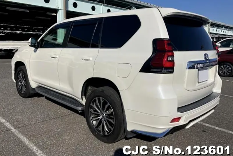 2019 Toyota / Land Cruiser Prado Stock No. 123601