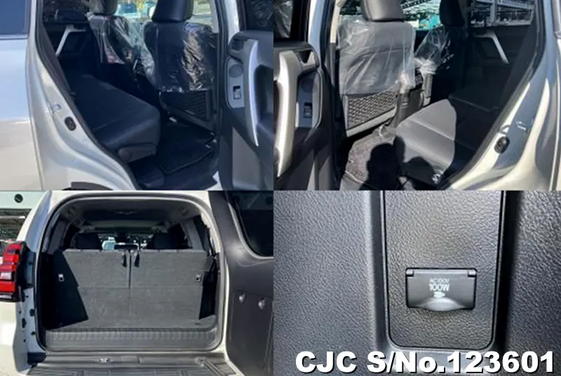 2019 Toyota / Land Cruiser Prado Stock No. 123601