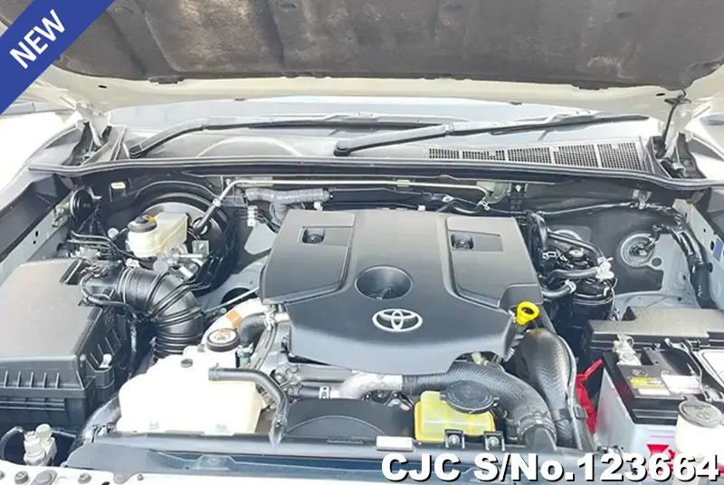 2019 Toyota / Hilux / Revo Stock No. 123664