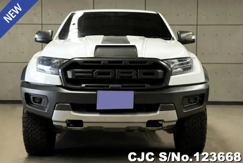 2019 Ford / Ranger / Raptor Stock No. 123668