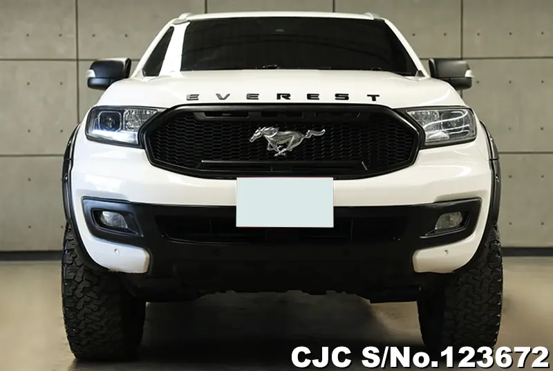 2020 Ford / Everest Stock No. 123672