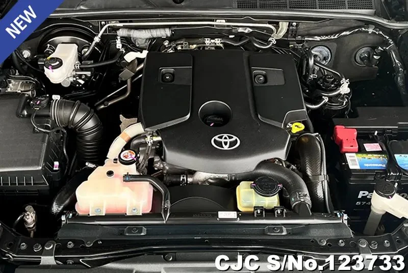 2018 Toyota / Hilux / Revo Stock No. 123733