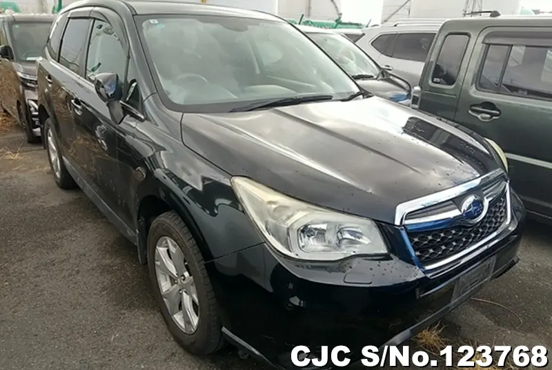 2013 Subaru / Forester Stock No. 123768