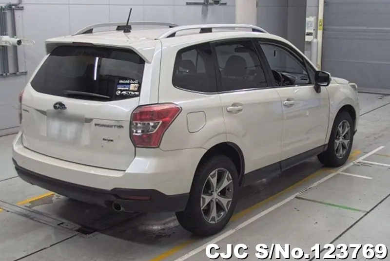 2014 Subaru / Forester Stock No. 123769