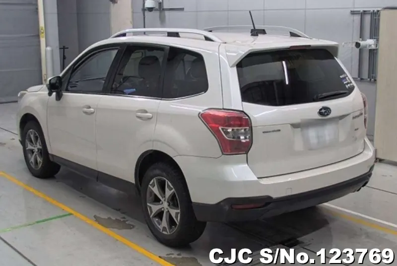 2014 Subaru / Forester Stock No. 123769