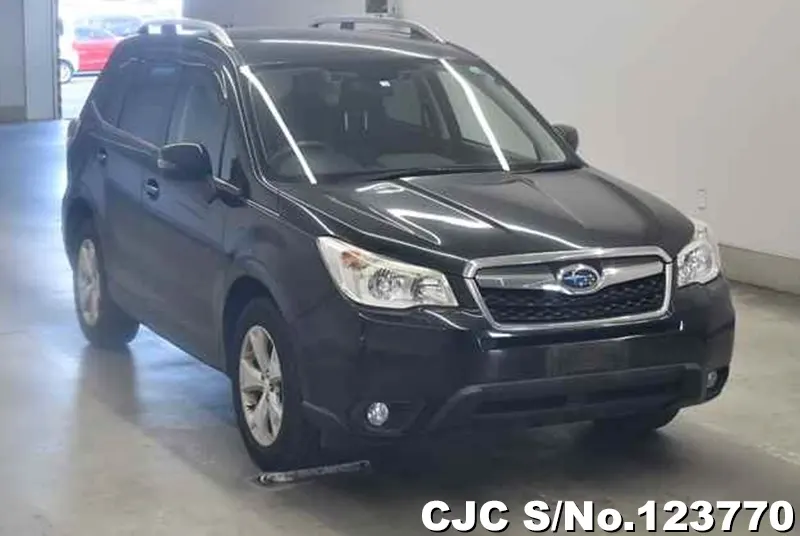 2014 Subaru / Forester Stock No. 123770