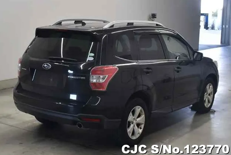 2014 Subaru / Forester Stock No. 123770