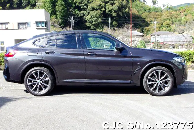 2024 BMW / X4 Stock No. 123775