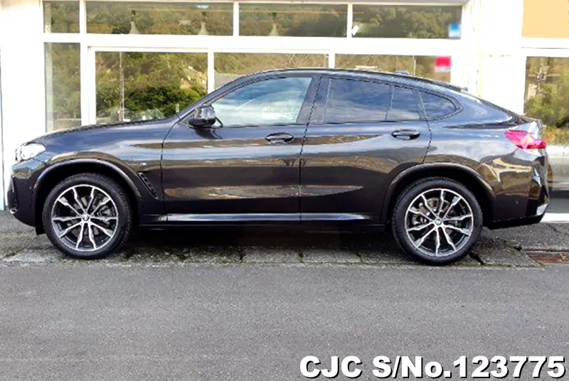 2024 BMW / X4 Stock No. 123775