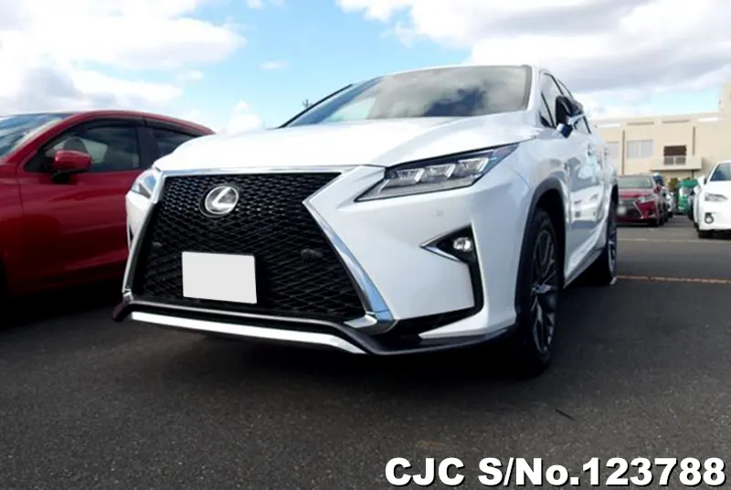 2019 Lexus / RX 200 Stock No. 123788