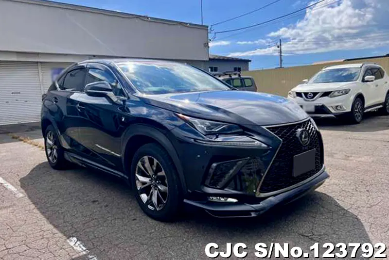 2018 Lexus / NX 200 Stock No. 123792