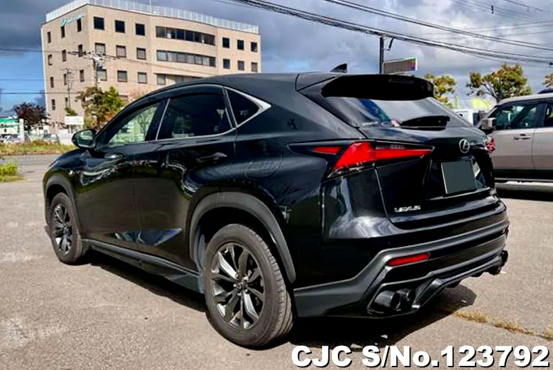 2018 Lexus / NX 200 Stock No. 123792