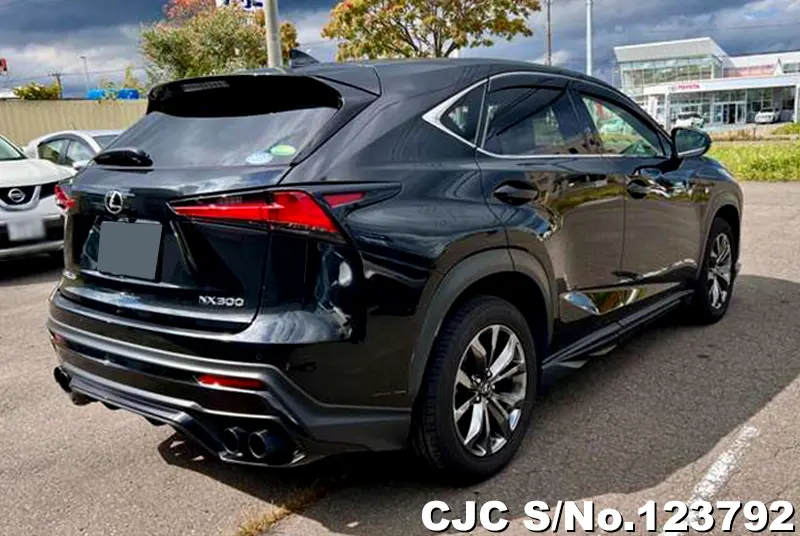 2018 Lexus / NX 200 Stock No. 123792