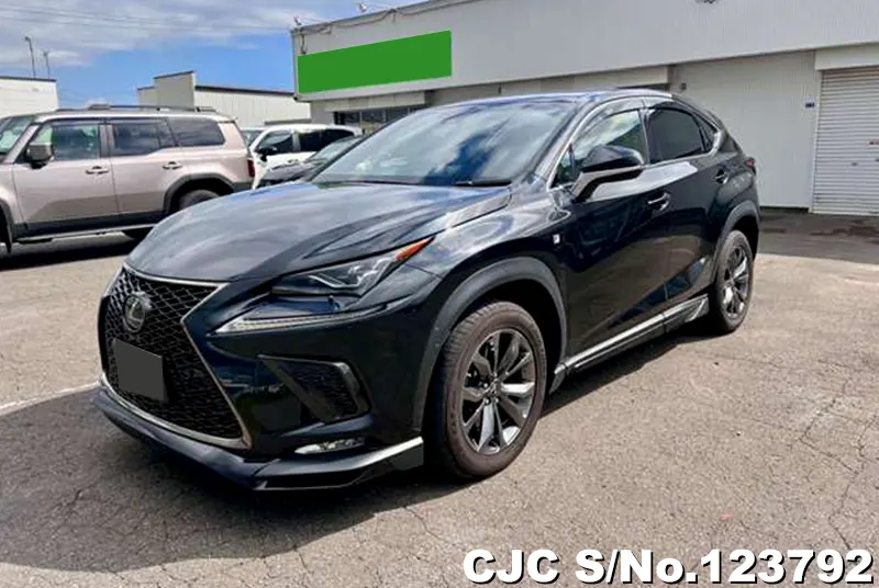 2018 Lexus / NX 200 Stock No. 123792