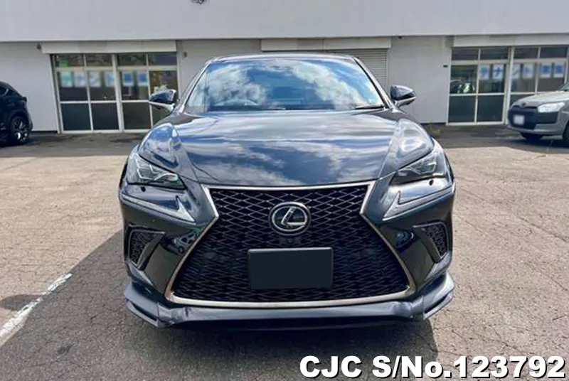 2018 Lexus / NX 200 Stock No. 123792