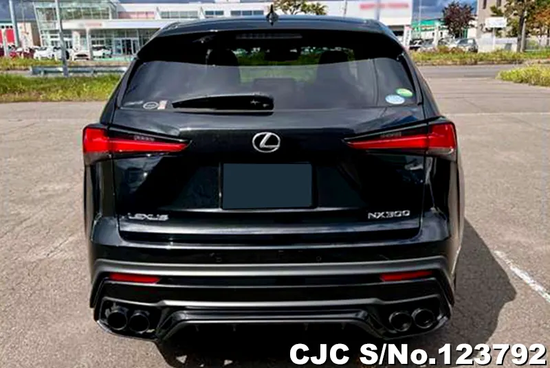 2018 Lexus / NX 200 Stock No. 123792