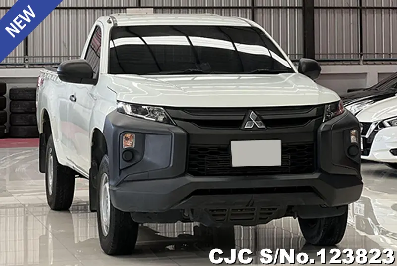 2020 Mitsubishi / Triton Stock No. 123823