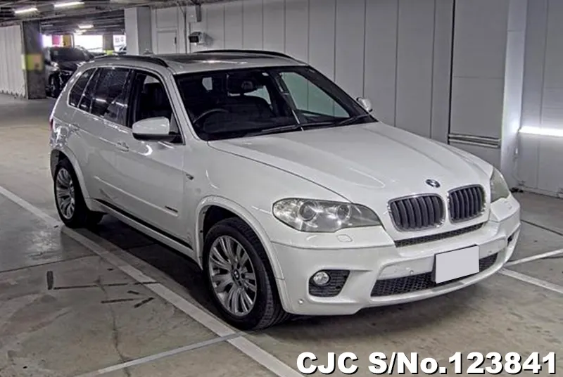 2010 BMW / X5 Stock No. 123841