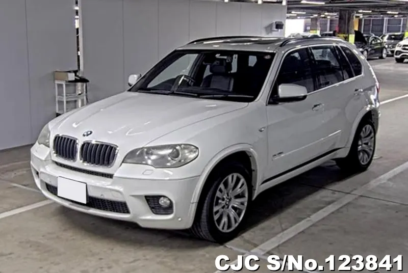 2010 BMW / X5 Stock No. 123841