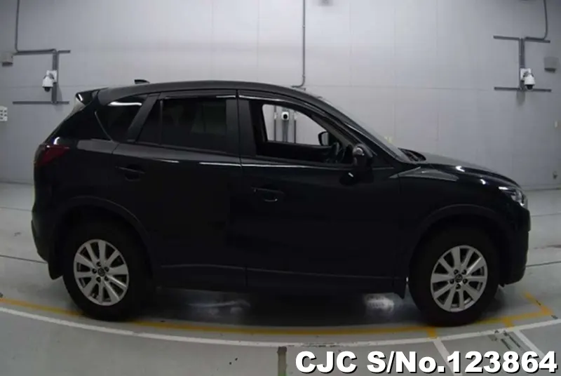 2013 Mazda / CX-5 Stock No. 123864