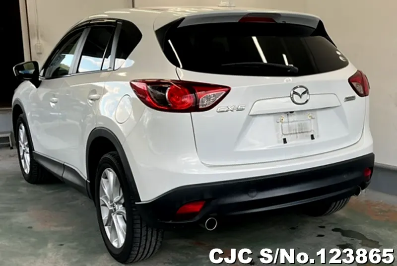 2014 Mazda / CX-5 Stock No. 123865