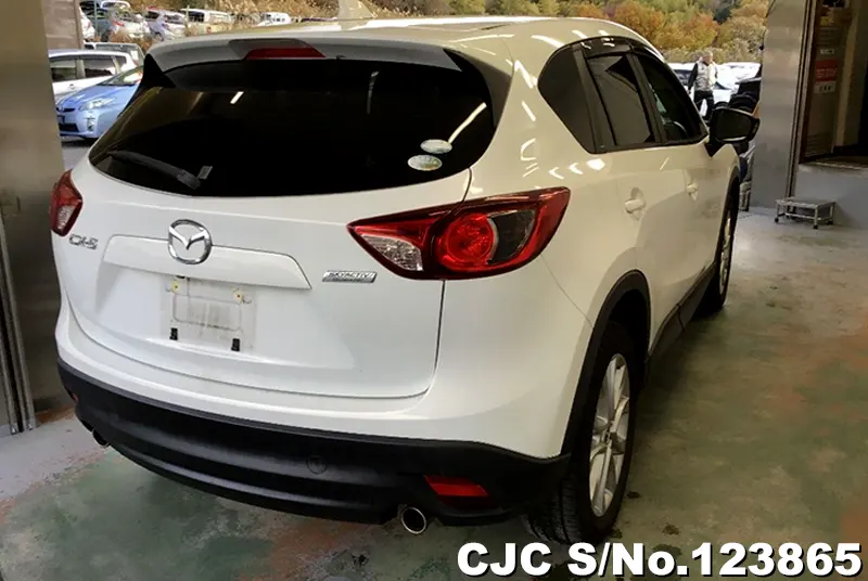 2014 Mazda / CX-5 Stock No. 123865