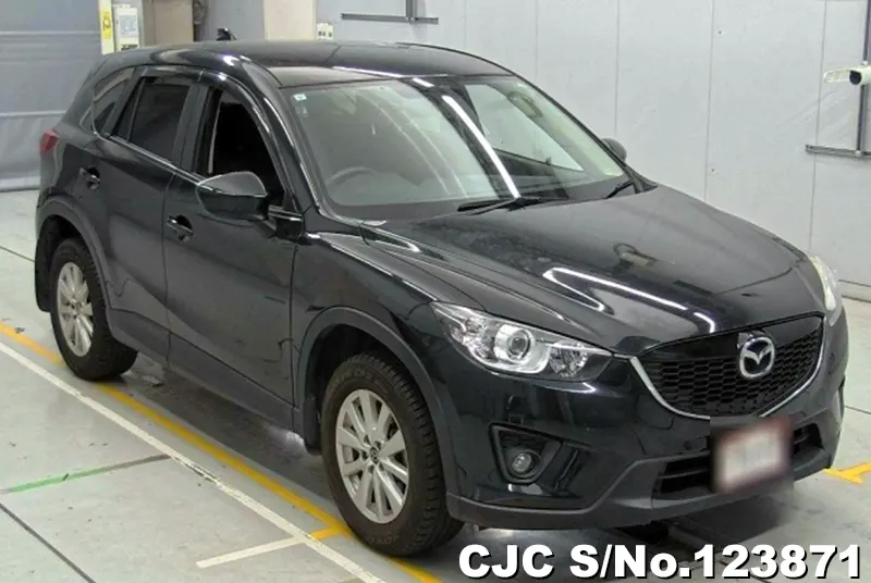 2013 Mazda / CX-5 Stock No. 123871