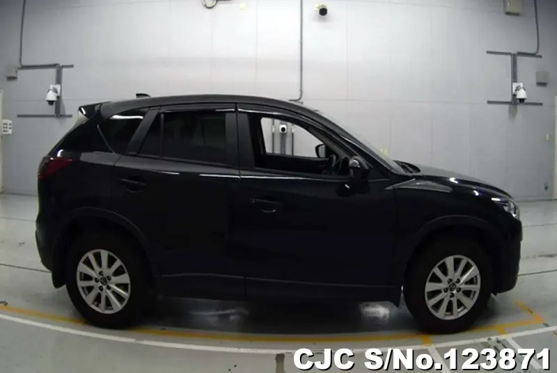 2013 Mazda / CX-5 Stock No. 123871