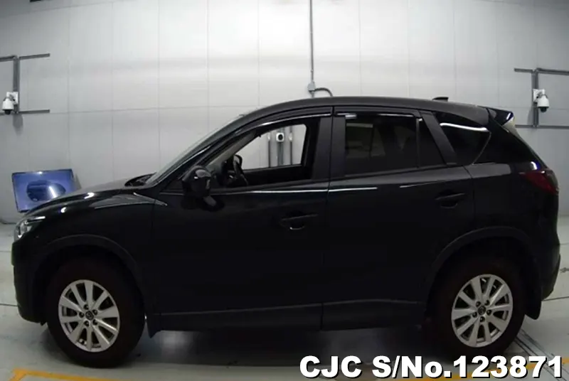 2013 Mazda / CX-5 Stock No. 123871