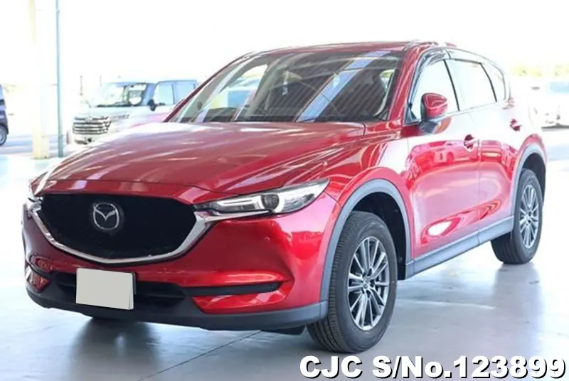 2019 Mazda / CX-5 Stock No. 123899