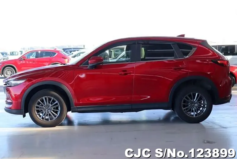 2019 Mazda / CX-5 Stock No. 123899