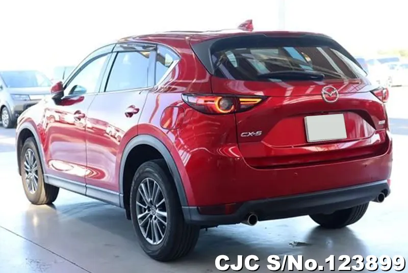 2019 Mazda / CX-5 Stock No. 123899