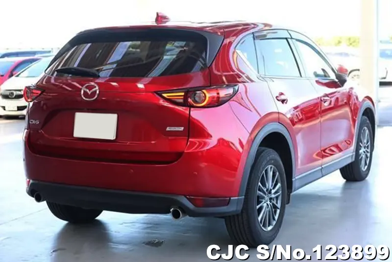 2019 Mazda / CX-5 Stock No. 123899