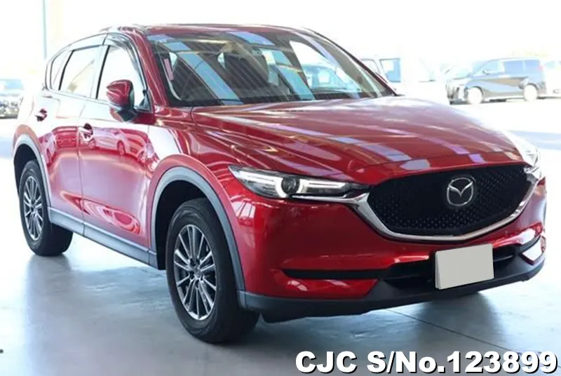 2019 Mazda / CX-5 Stock No. 123899