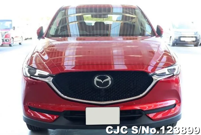 2019 Mazda / CX-5 Stock No. 123899