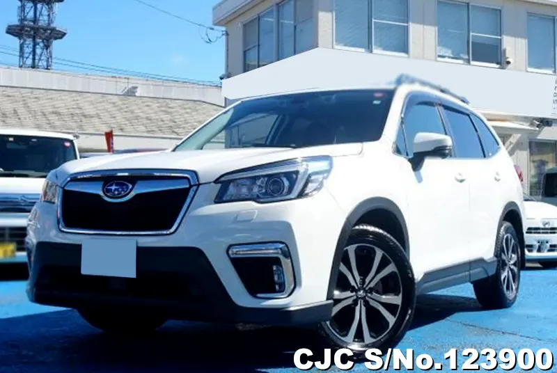 2019 Subaru / Forester Stock No. 123900