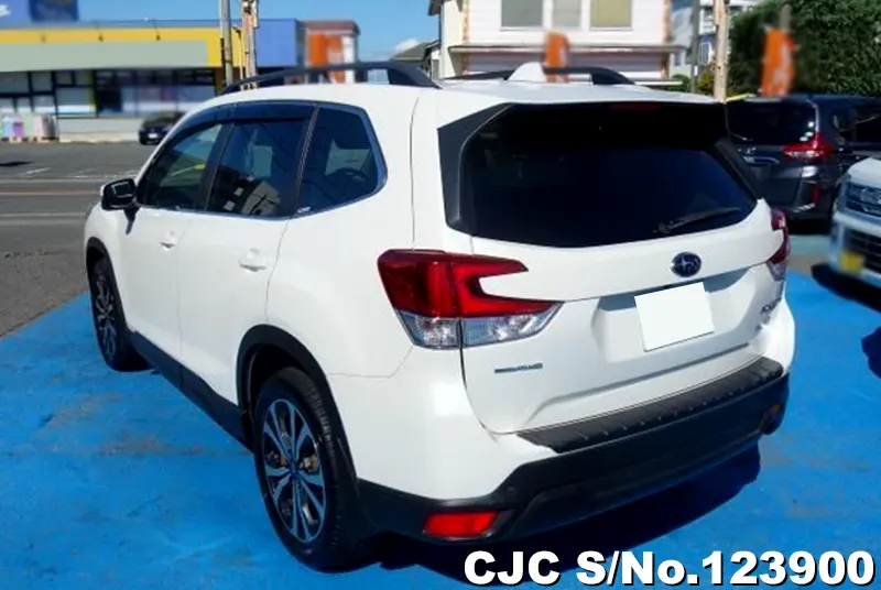 2019 Subaru / Forester Stock No. 123900