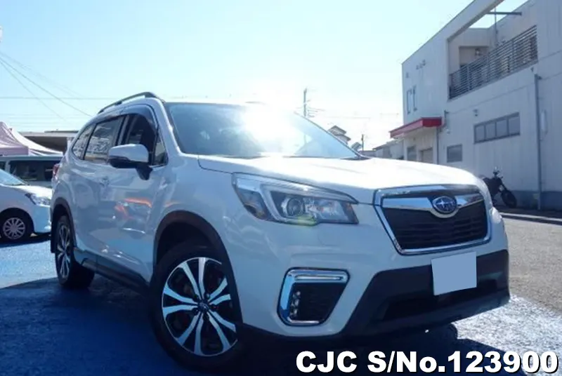 2019 Subaru / Forester Stock No. 123900