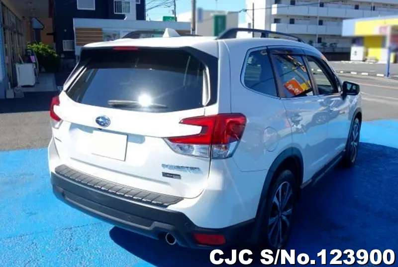 2019 Subaru / Forester Stock No. 123900