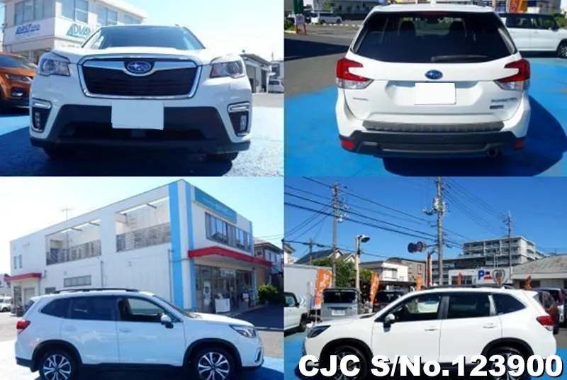 2019 Subaru / Forester Stock No. 123900